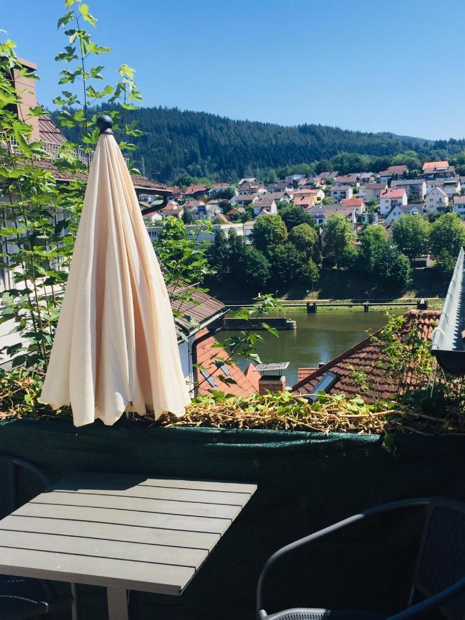 Natur und Neckarblick bei Heidelberg Hirschhorn Exterior foto
