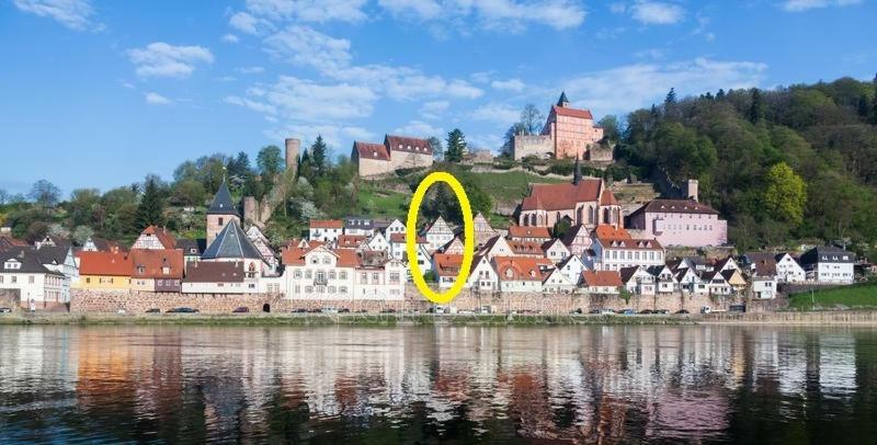 Natur und Neckarblick bei Heidelberg Hirschhorn Exterior foto